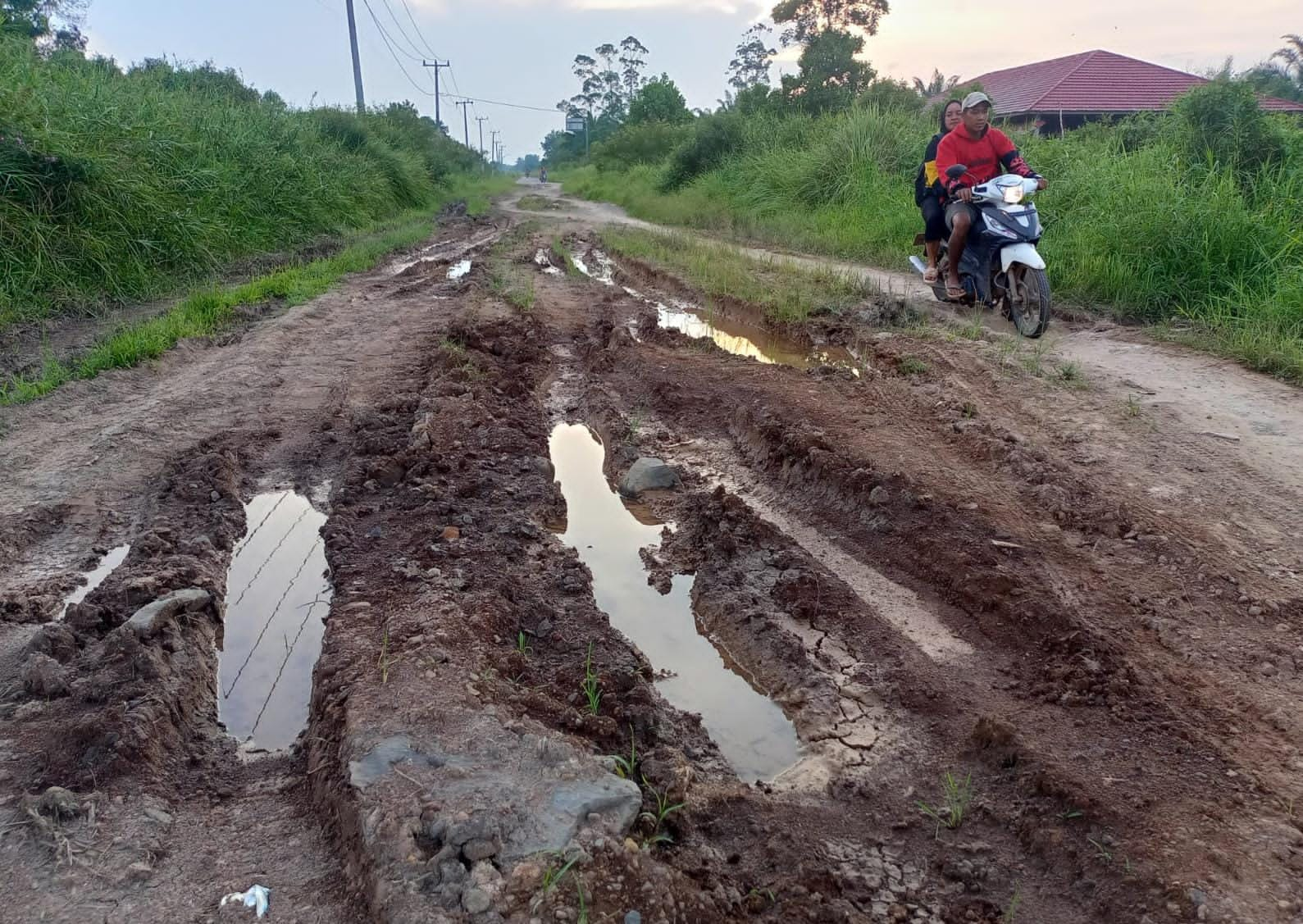 Kurang Diperhatikan Akses Jalannya, Tokoh Masyarakat Kecamatan Mesuji Kritisi Kebijakan Pemda