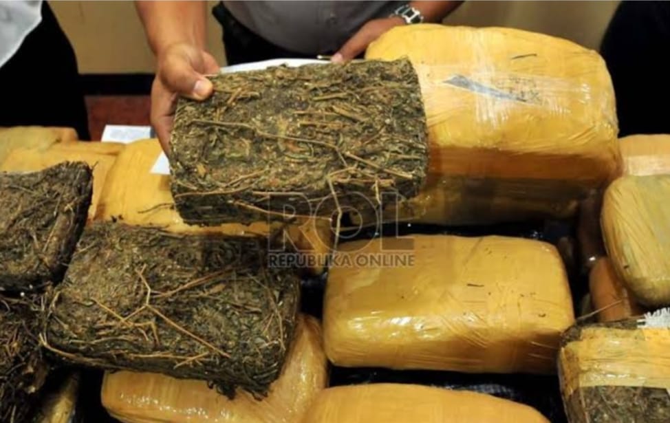 Amankan 40 Kg Ganja, Polda Lampung Ringkus Kurir Jaringan Narkoba Lintas Provinsi