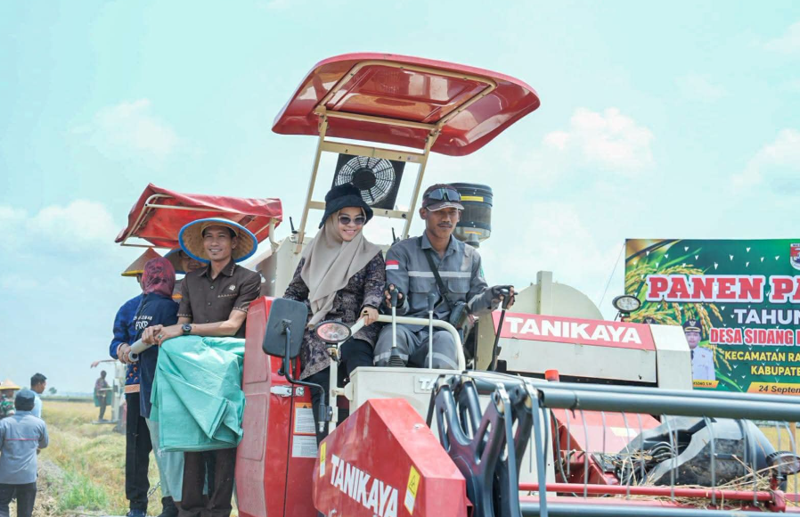 Mesuji Tetap Produktif di Tengah Kemarau, Panen Raya Padi di Rawa Jitu Utara Capai 8 Ton