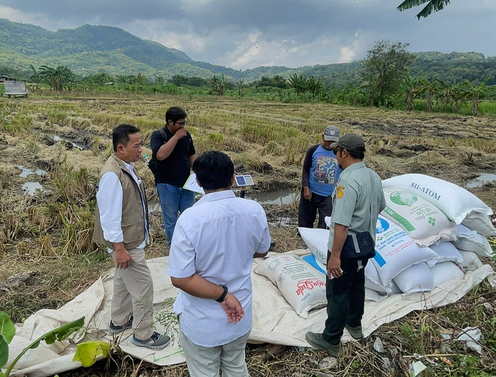 Serapan Tembus 101 Ribu Ton, BULOG DIY Perkuat Komitmen Dukung Swasembada Pangan