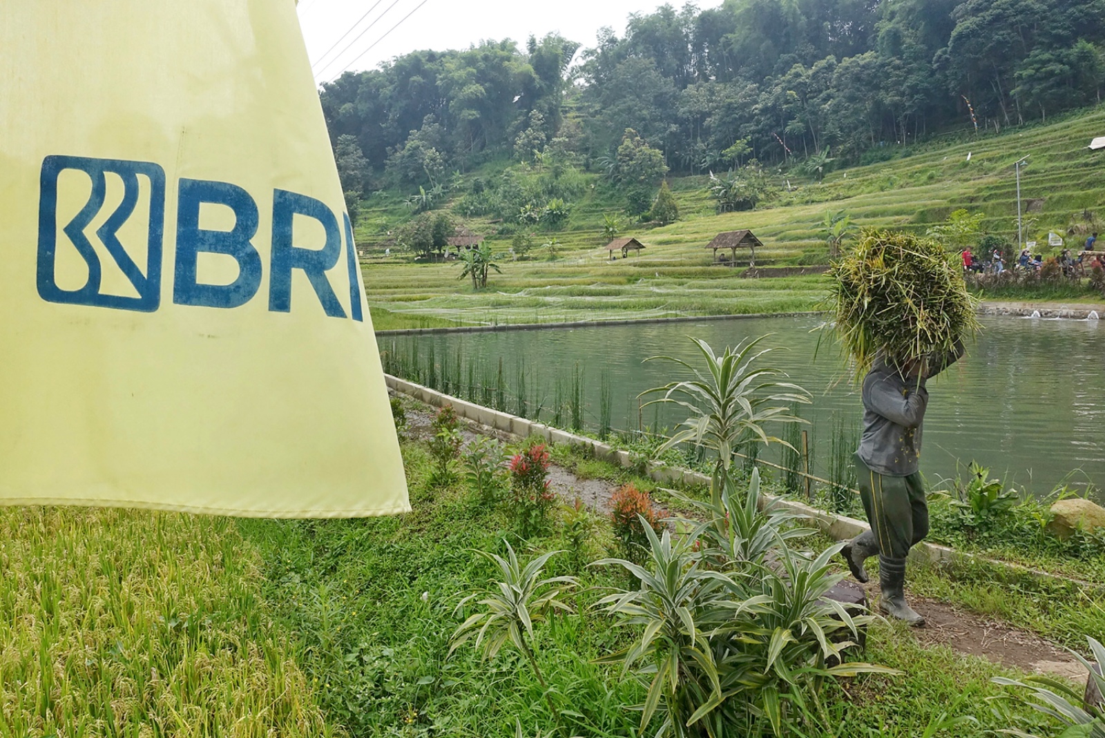 Ini 5 Komitmen Nyata BRI Dorong Peningkatan Kualitas Dan Daya Saing UMKM