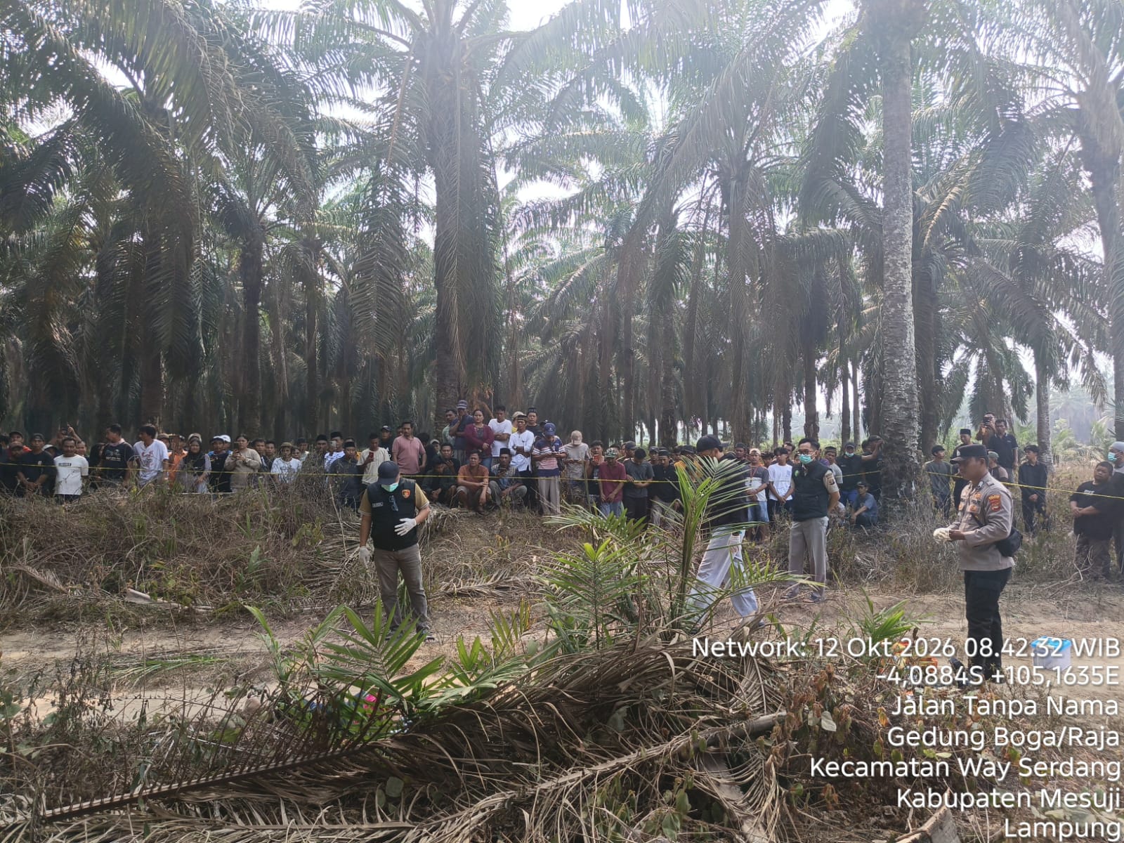 Polisi Identifikasi Jasad Wanita yang Ditemukan di Kebun Sawit Mesuji