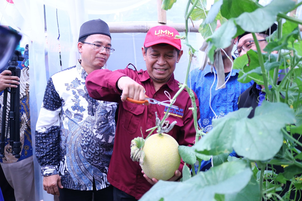 Kebun Pembelajaran UM Metro di Kalibening Resmi Diluncurkan: Dari Inisiasi 2012 hingga Ruang Belajar Pertanian