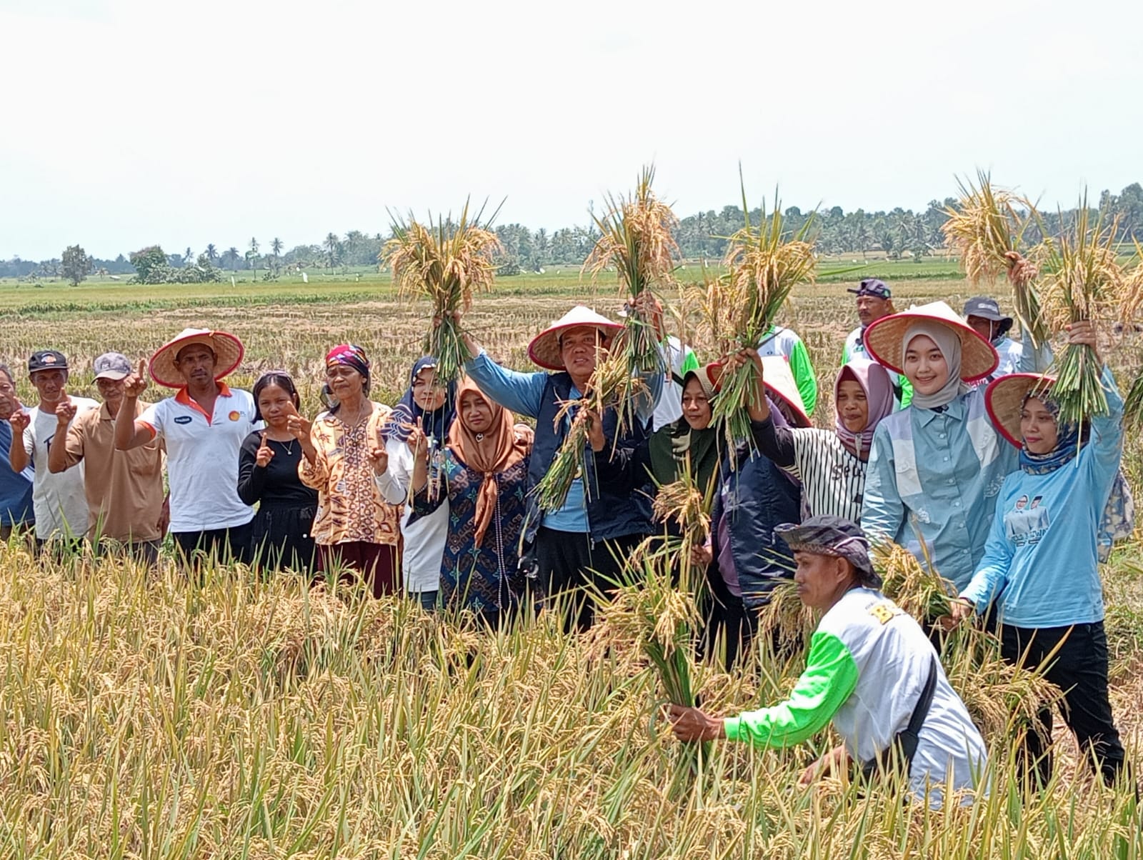 Ela - Azwar Dialog Dengan Puluhan Petani Lampung Timur 