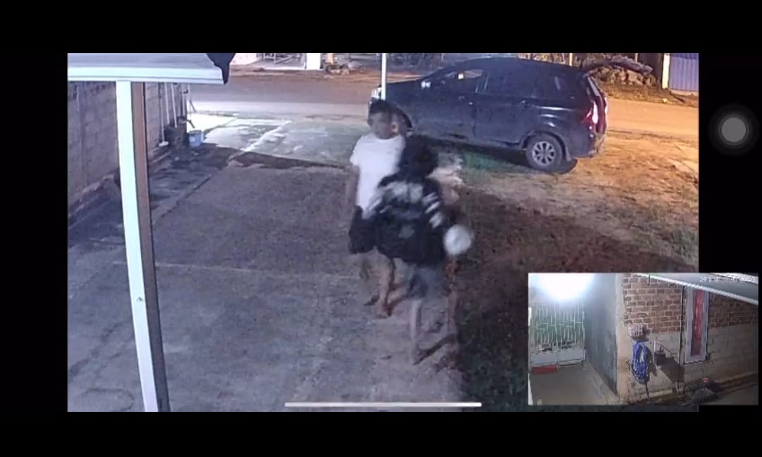 Viral di Medsos, Dua Pelaku Pencurian Gabah di Metro Timur Dibekuk Polisi!