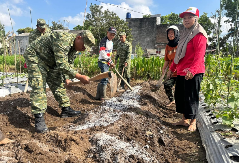 Dukung Ketahanan Pangan Nasional, Koramil 11/Depok Serahkan 300 Bibit Cabai kepada KWT Teratai Mekar