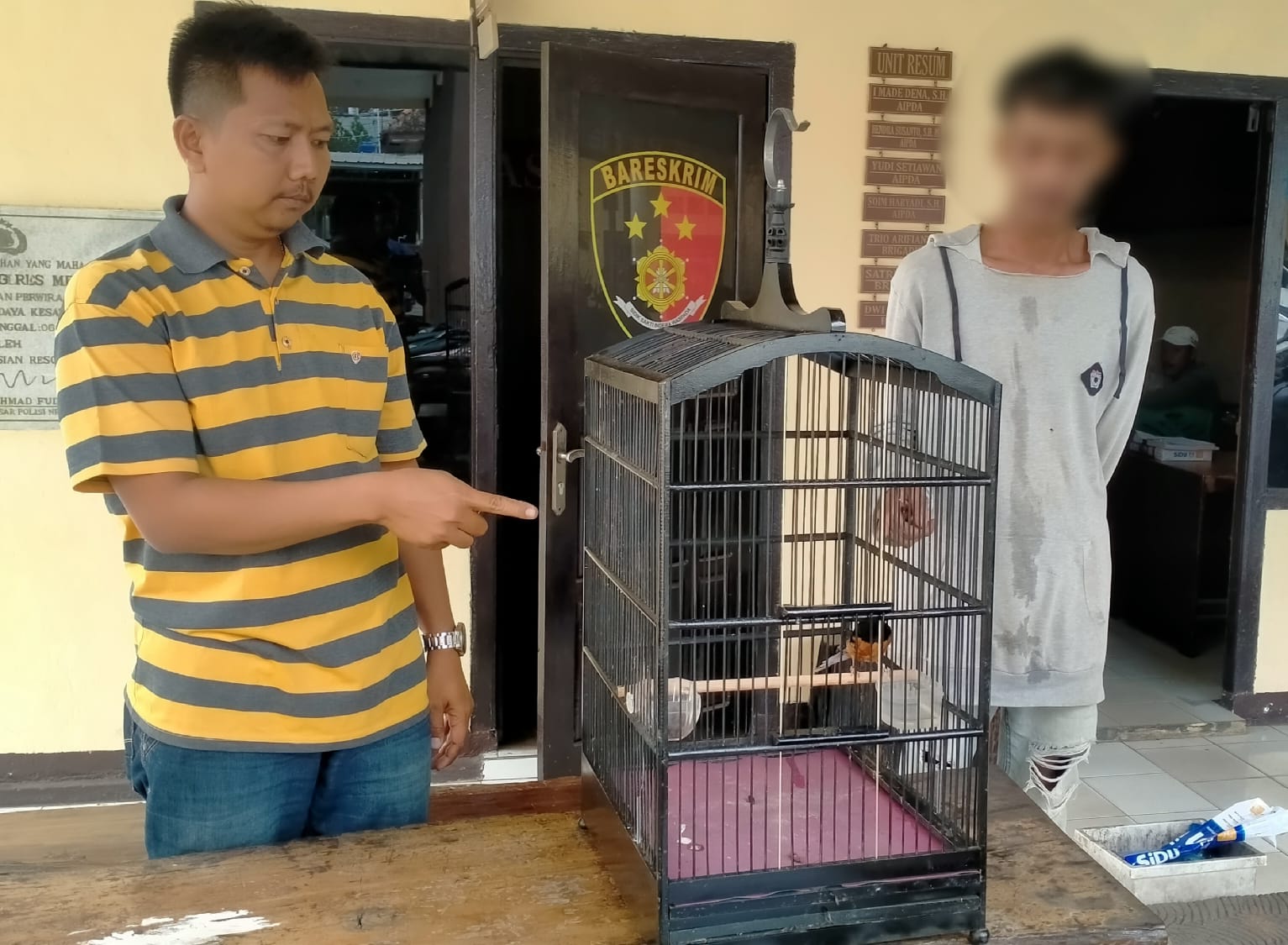 Pelaku Pencurian Murai Senilai Rp50 Juta Ditangkap, Kenal Korban 3 Bulan