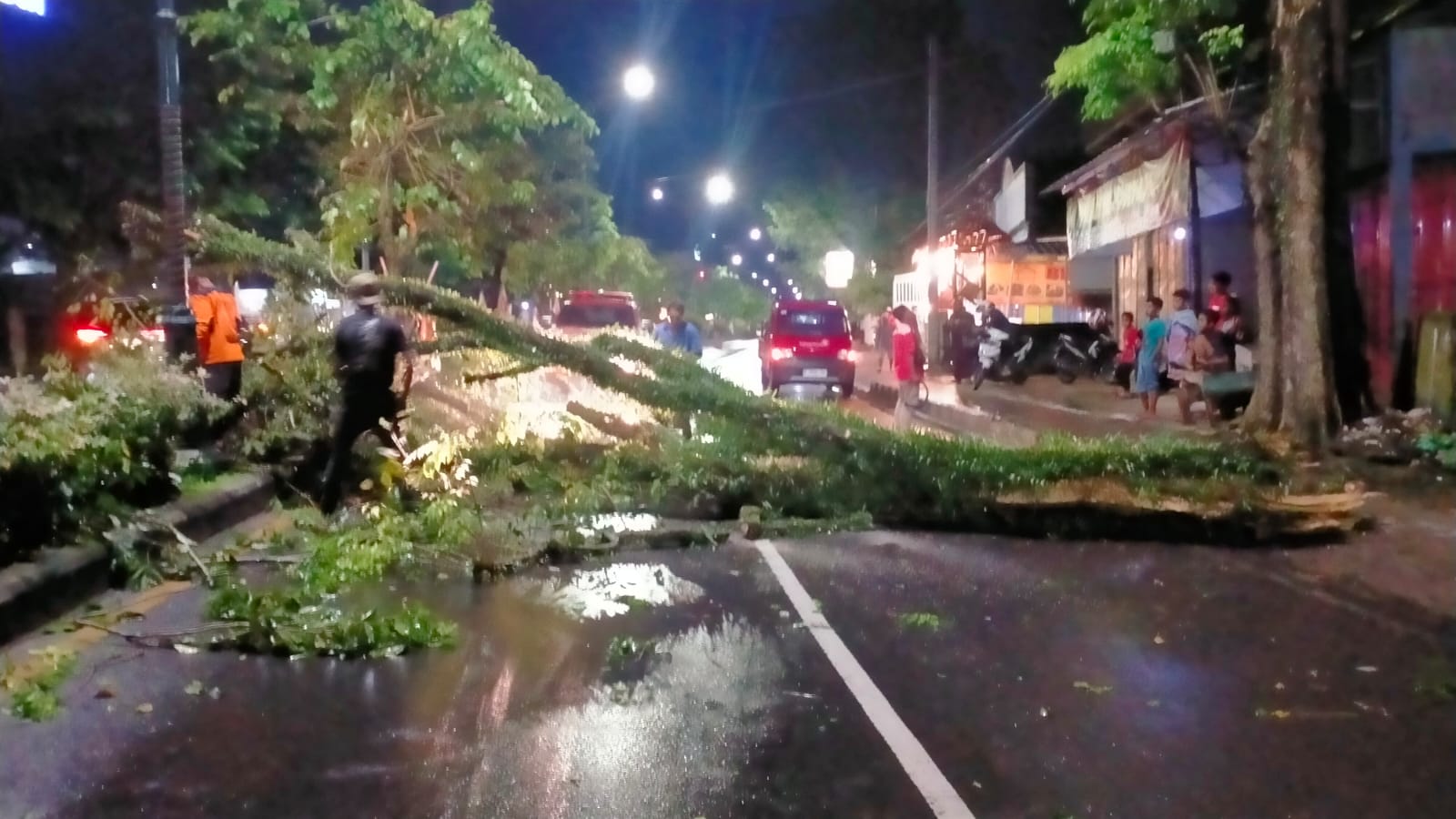 Patahan Pohon Besar di Jalur Dua Metro Timpa Mobil Hingga Tutupi Jalan