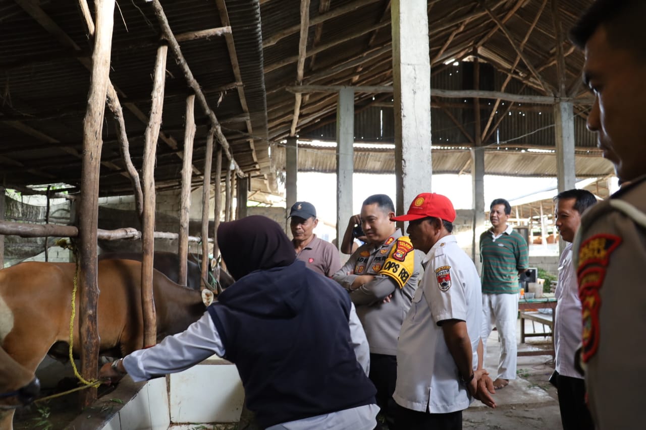 Jelang Hari Raya Idul Adha 1445 H, Kapolres Mesuji Cek Kesiapan Hewan Qurban