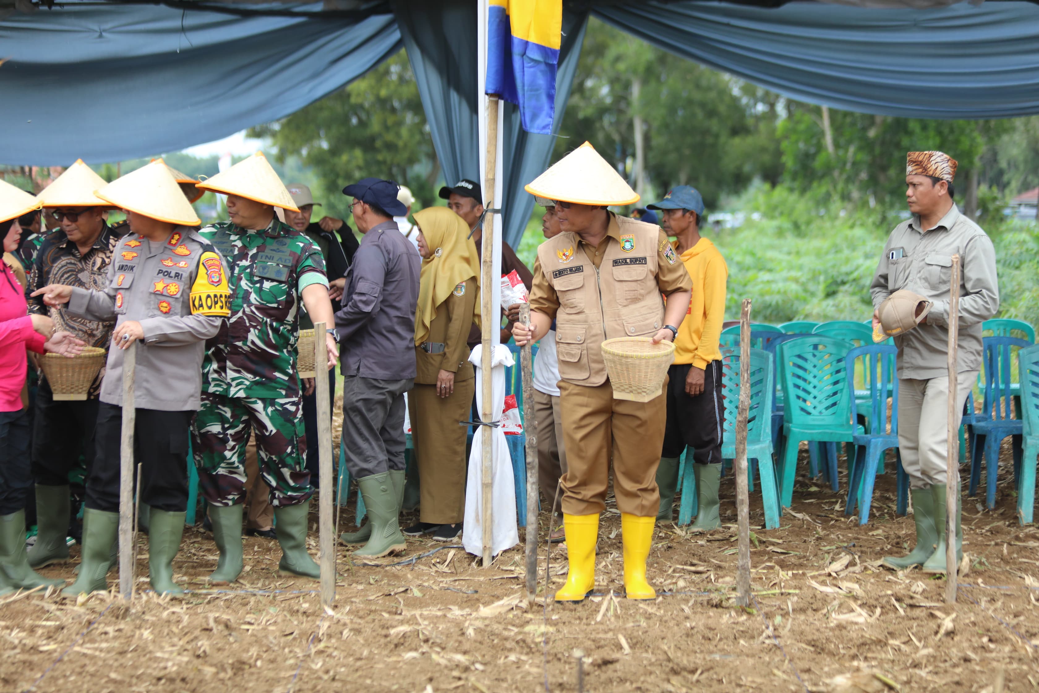 Tingkatkan Pertanian, Wabup Lamteng Dukung Tanam Jagung Serentak