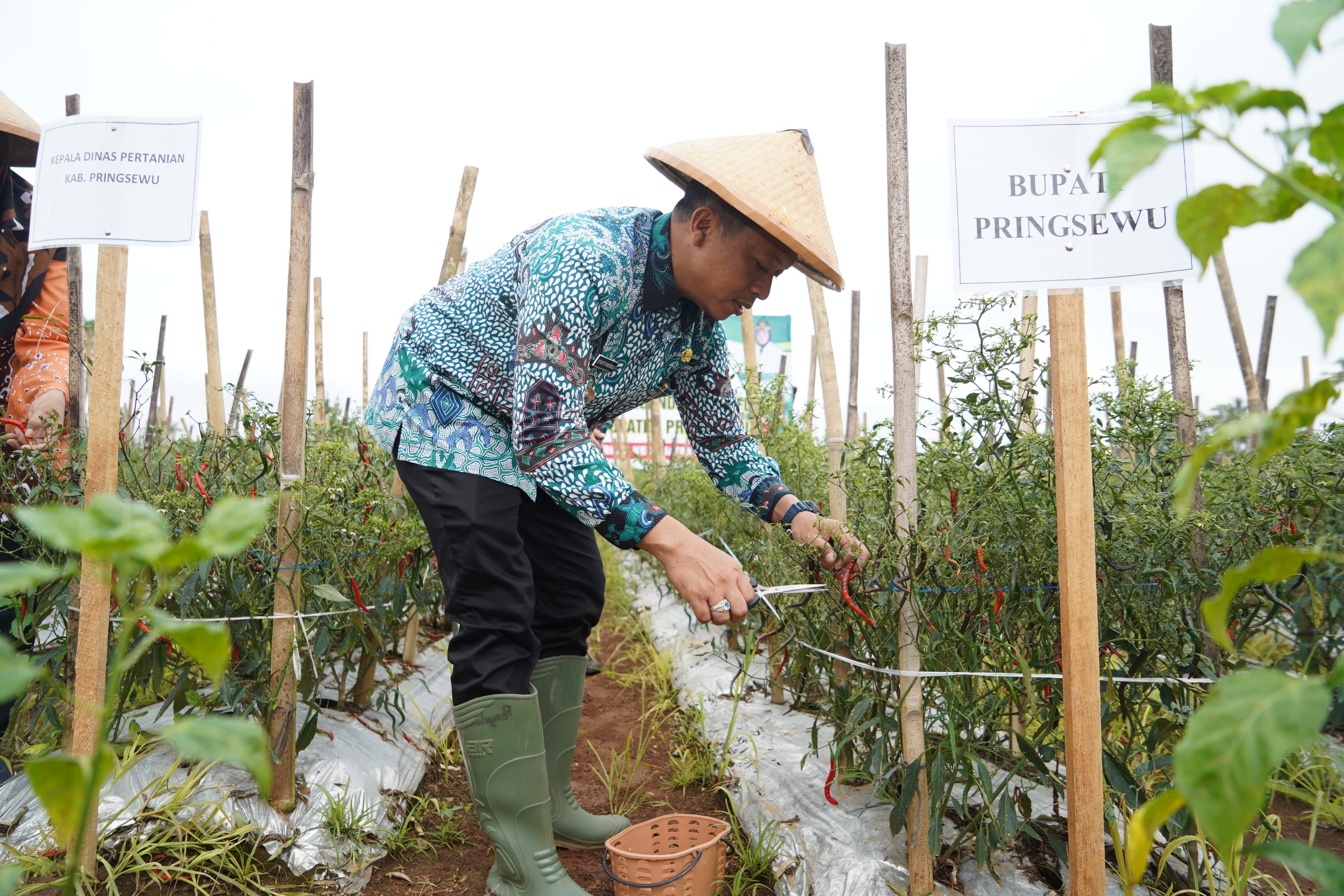 Bupati Riyanto Pamungkas Lantik Pengurus TP-PKK Kabupaten Pringsewu Periode 2025-2030 