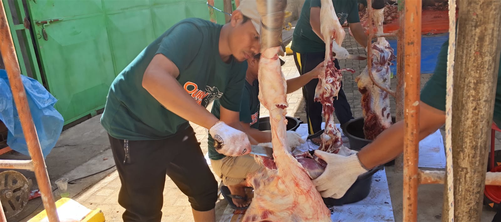 Hari Raya Idul Adha 1447 H, RSUM Metro Bersama LAZISMU Potong 13 Ekor Sapi dan 4 Ekor Kambing