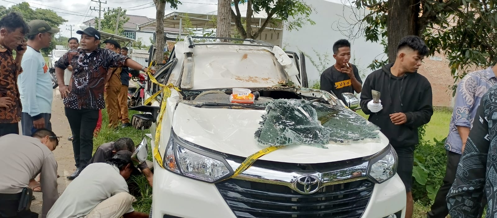 Warga Metro Timur Geger, Pohon Albasia Tumbang Timpa Mobil, Korban Luka Luka