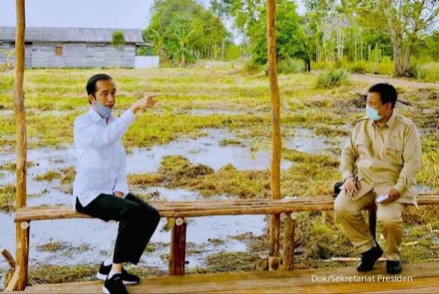 Dikritik PDIP, Jokowi Pastikan Program Food Estate Terus Lanjut