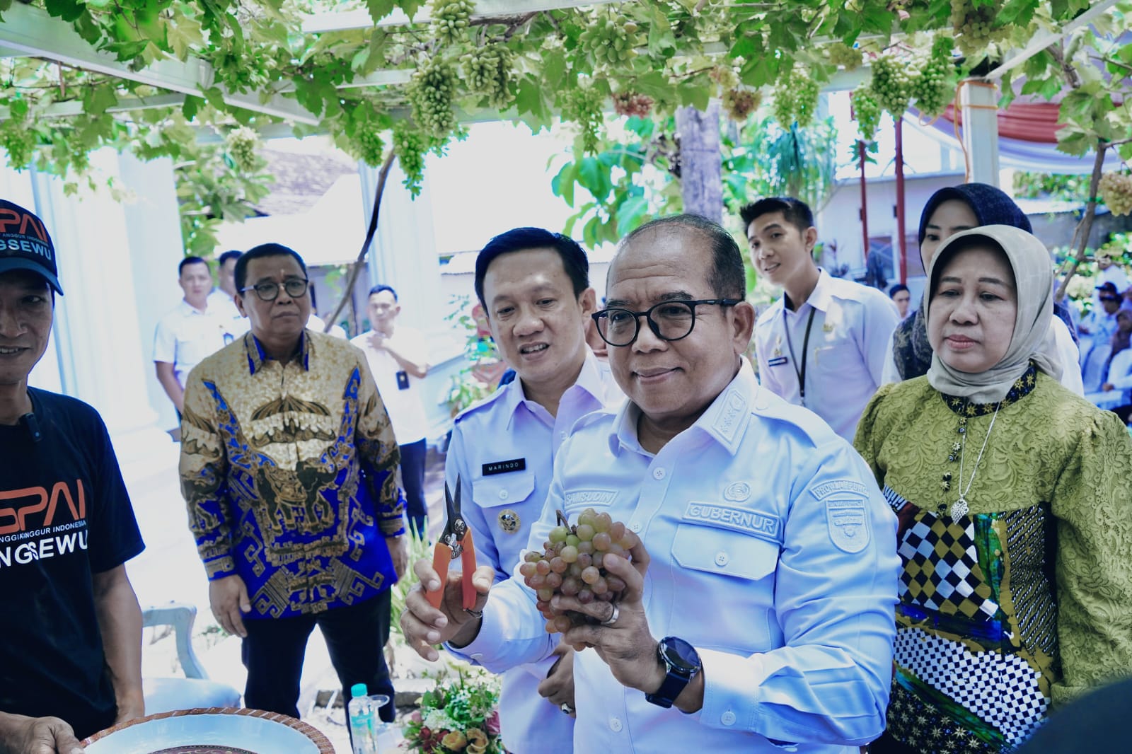 Pj.Gubernur Lampung Dukung Pringsewu Jadi Kota Anggur