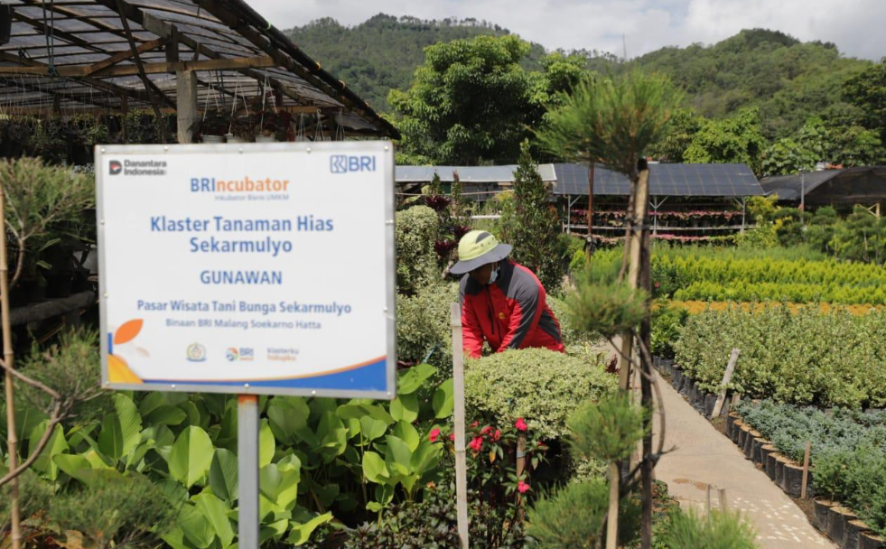 Lewat Pembiayaan dan Literasi, BRI Perkuat Fondasi Ekonomi Kerakyatan melalui Klaster Usaha
