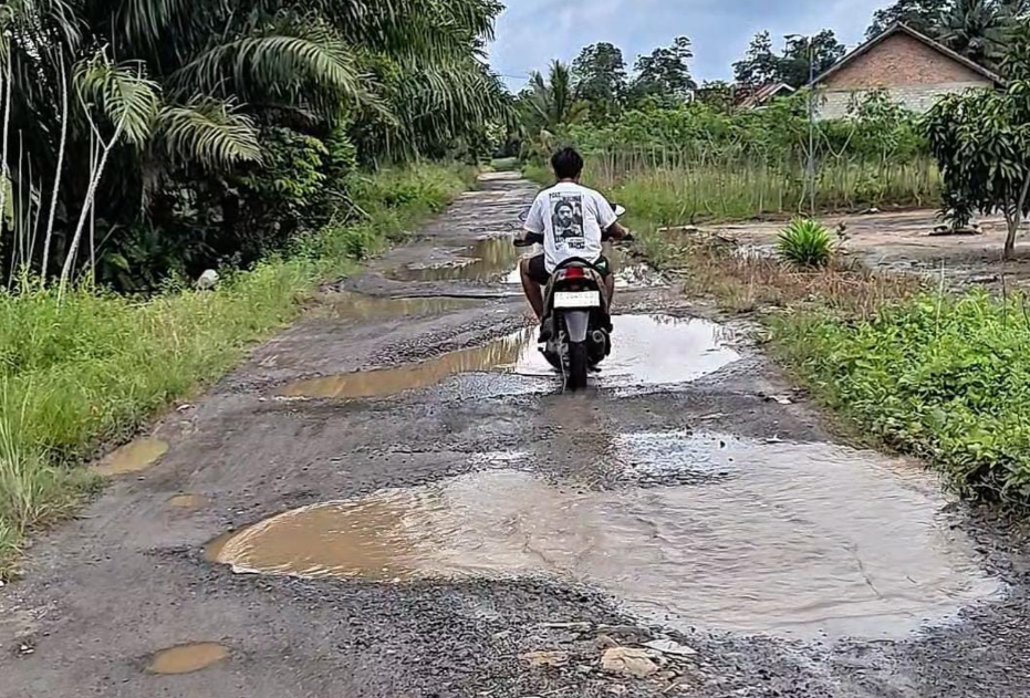 15 Tahun Jalan Poros Kelurahan Di Lampung Tengah Terabaikan