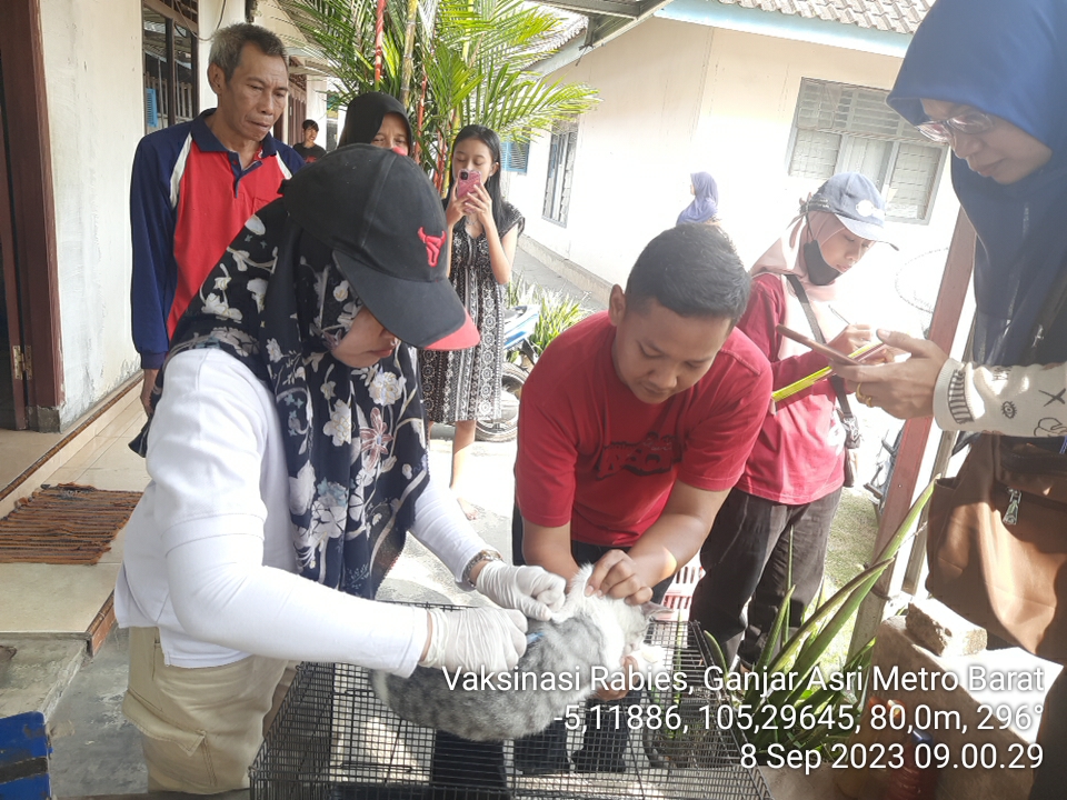 Waspada Penyebaran Penyakit Rabies, DKP3 Gerak Cepat Vaksinasi 3 Kelurahan