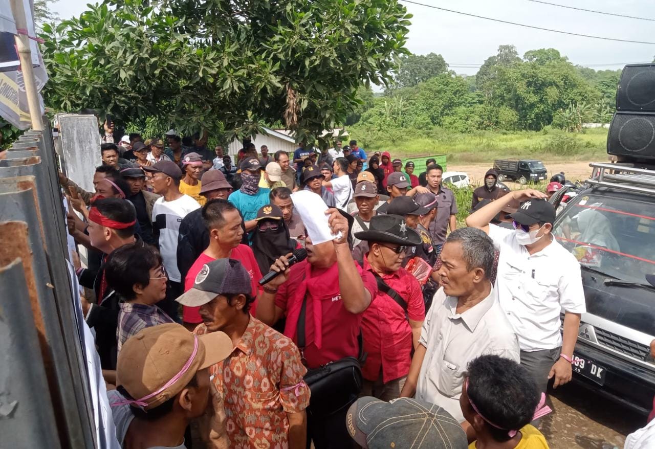 Petani Singkong Lampura Tuding Sinar Laut Curang, Begini Respon Perusahaan