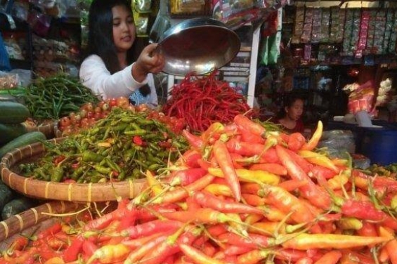 Menjelang Hari Raya Idul Adha, Harga Bapok di Kota Metro Stabil