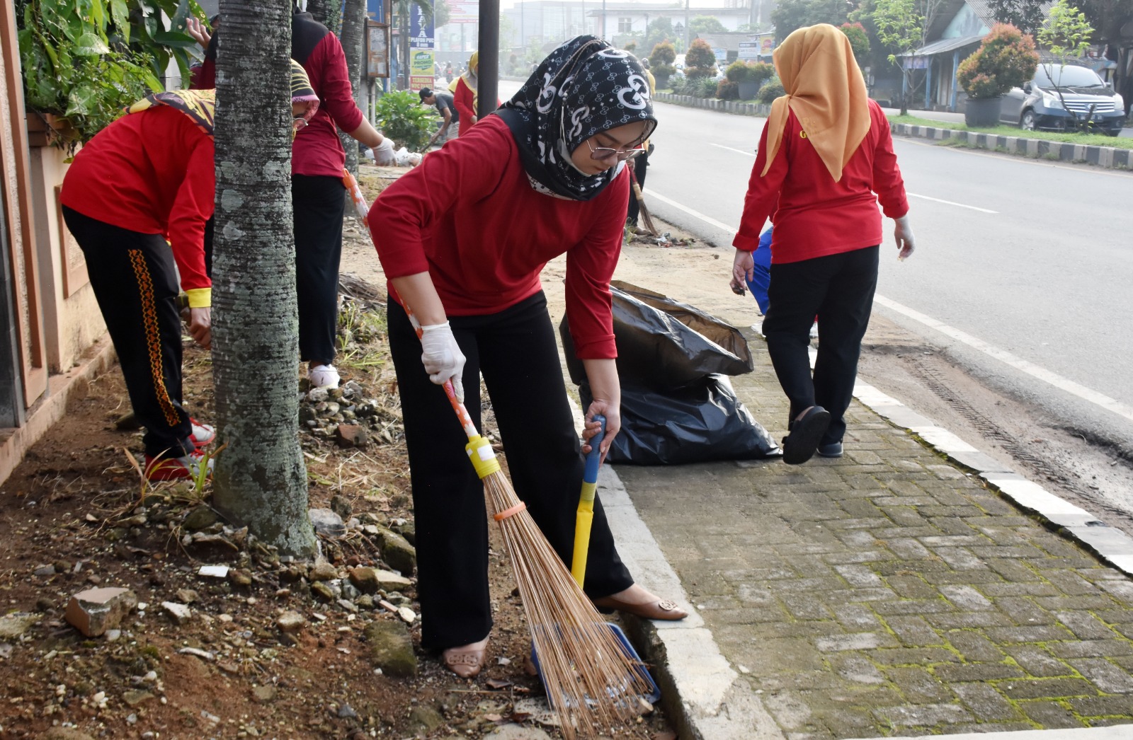 Waspada Penyebaran DBD, Ini Langkah Pemkot Metro! 