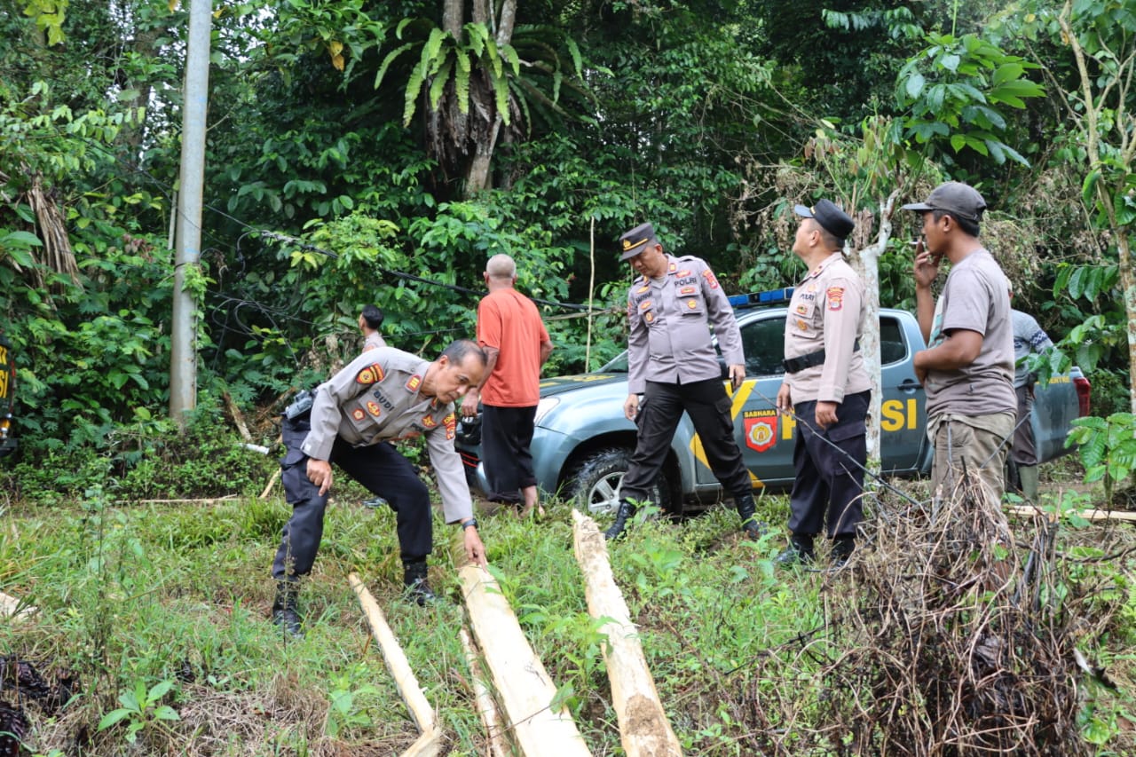 Kawanan Gajah Liar Rusak 6 Hektare Lahan Warga Sedayu