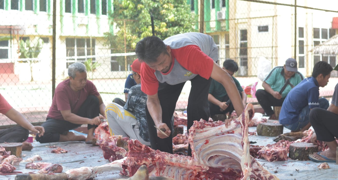 Peringati Iduladha, UIN Jusila Laksanakan Kurban
