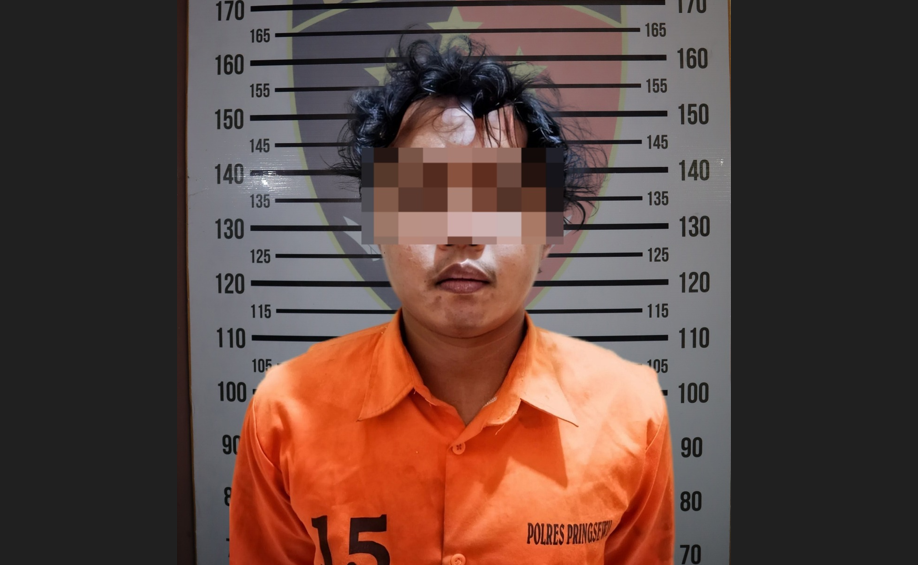 Pelaku Pemerkosaan dan Perampokan Spesialis Michat Dibekuk Polisi