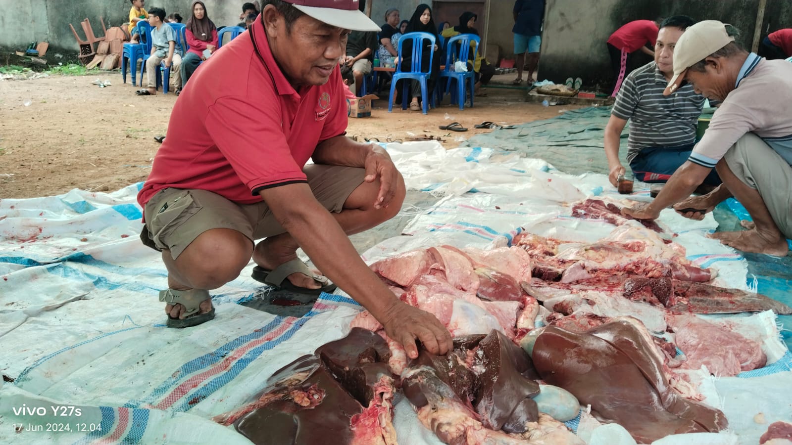 Wow, 199 Sapi Kurban di Metro Terinfeksi Penyakit Cacing Hati! 