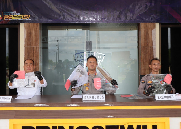 HOT! Komplotan Pencuri Sapi Beraksi 3 Tahun di Pringsewu Dibongkar Polisi, Satu Pelaku Tewas