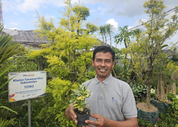 Pasar Tanaman Hias Sekar Mulyo Naik Kelas Lewat QRIS dan Klasterku Hidupku BRI
