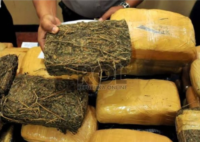 Amankan 40 Kg Ganja, Polda Lampung Ringkus Kurir Jaringan Narkoba Lintas Provinsi