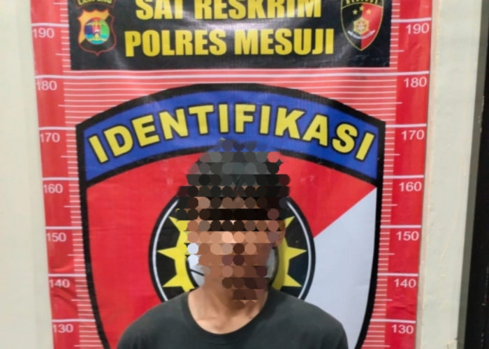 Dua Pelaku Pemerkosaan Konten Kreator di Mesuji Dibekuk Polisi 
