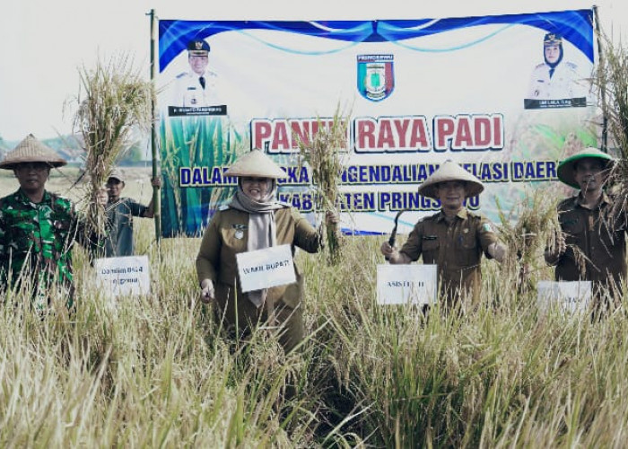 Panen Raya di Wonosari, Wabup Pringsewu Tegaskan Komitmen Dukung Sektor Pertanian