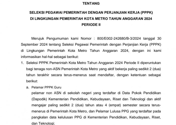 16 Pelamar PPPK Periode I di Metro Dinyatakan Tidak Memenuhi Syarat, Ini Alasannya! 