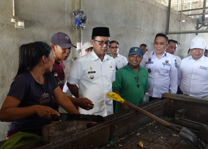 Tunjukkan Komitmen Pemkab Lamteng Terkait Harga Singkong, Bupati Ardito Lakukan Kunker Beberapa Pabrik
