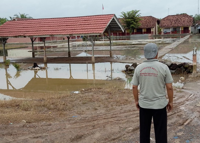 Camat Mesuji Turun Langsung Tinjau Banjir di Dua Desa 