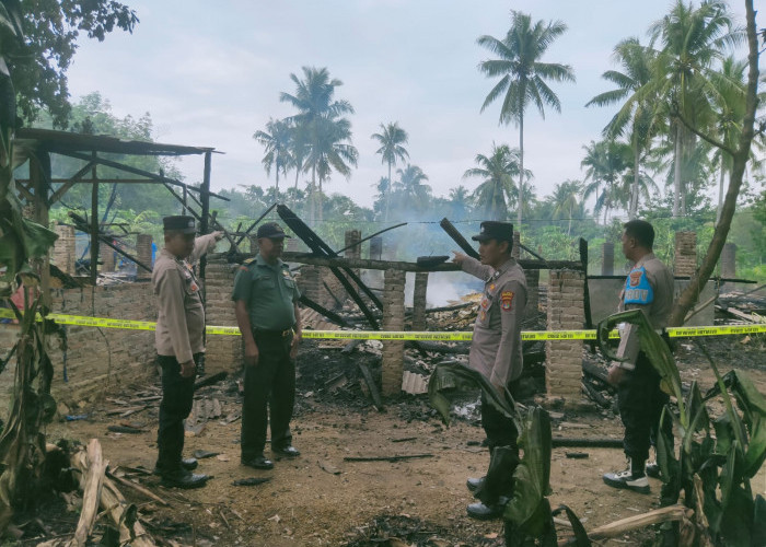 Kandang Ayam di Sukoharjo Terbakar, Korban Rugi Ratusan Juta
