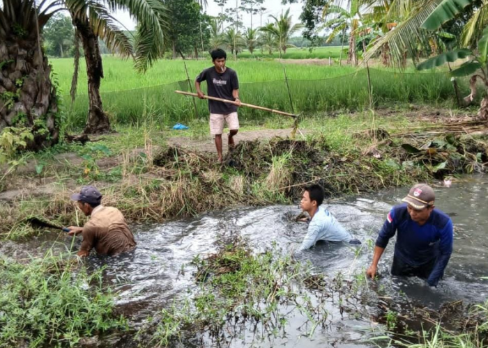 Cegah Banjir dan Wabah DBD, Warga Tirtalaga Gotong-royong Bersihkan Saluran Air 