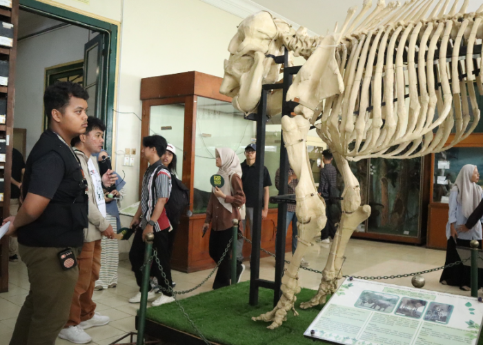 Peringati Hari Museum Indonesia, Dinas Kebudayaan Kota Yogyakarta Gelar Pameran Kolaboratif Trinetra