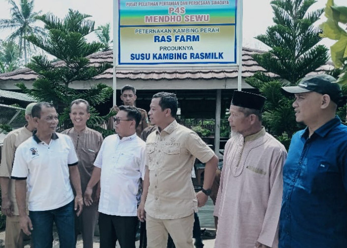 Kunjungi Kelompok Peternak Kambing Perah di Sukoharjo, Bupati Pringsewu Serap Kendala Pemasaran Susu