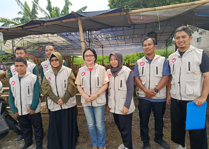 DPP Kota Yogyakarta Pastikan Hewan Kurban di Pasar Tiban Sehat Jelang Iduladha
