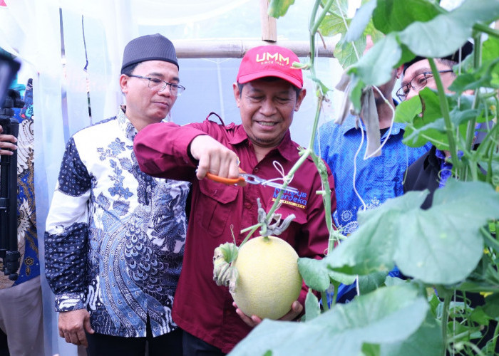 Kebun Pembelajaran UM Metro di Kalibening Resmi Diluncurkan: Dari Inisiasi 2012 hingga Ruang Belajar Pertanian
