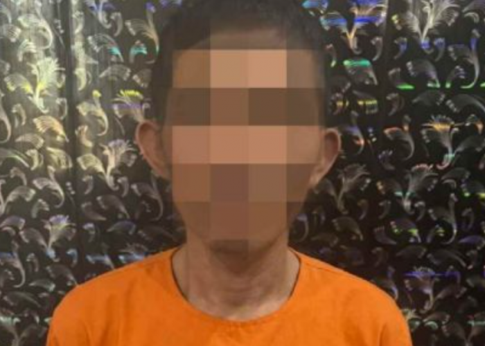 Curi 100 Polybag Bibit Sawit di Tubaba, 3 Orang Ditangkap Polisi