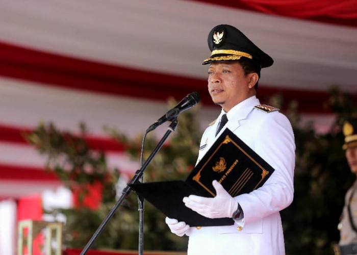 Rayakan HUT ke-17, Pemkab Pringsewu Dorong Ketahanan Pangan dan Hilirisasi