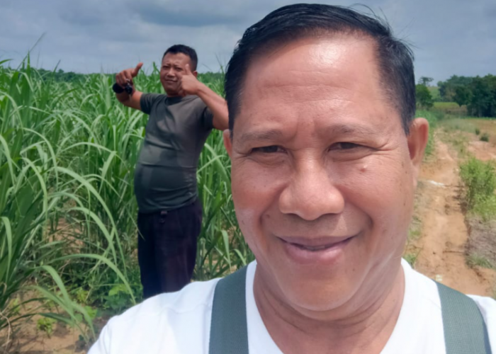 Petani Akan Merugi, PKT Group Pinta Kejati Lampung Buka Blokir PT PSMI