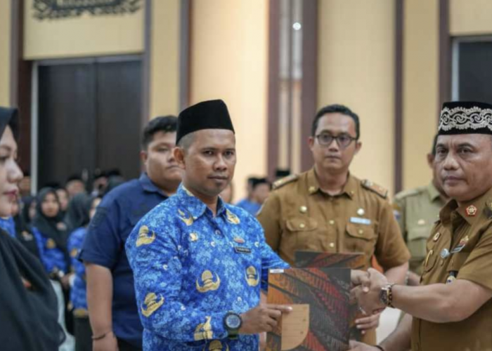 339 PPPK Kota Metro Formasi Tahun 2024 Terima SK Pengangkatan, Cek Ini Rinciannya! 