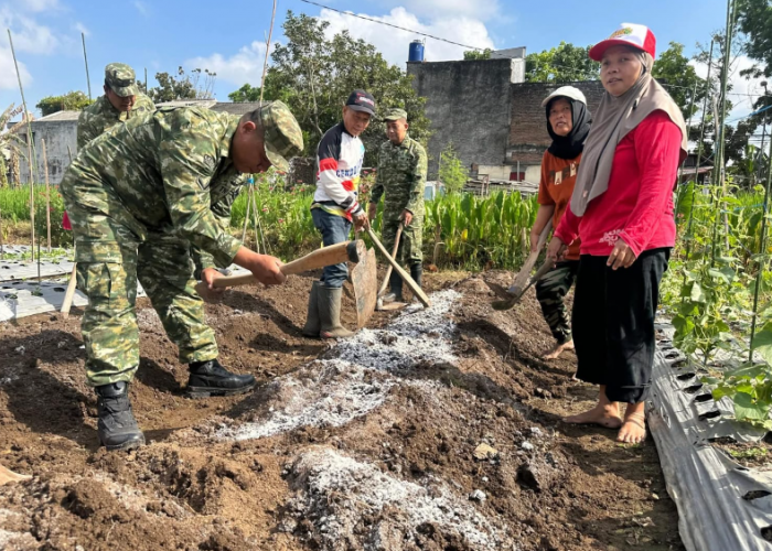 Dukung Ketahanan Pangan Nasional, Koramil 11/Depok Serahkan 300 Bibit Cabai kepada KWT Teratai Mekar