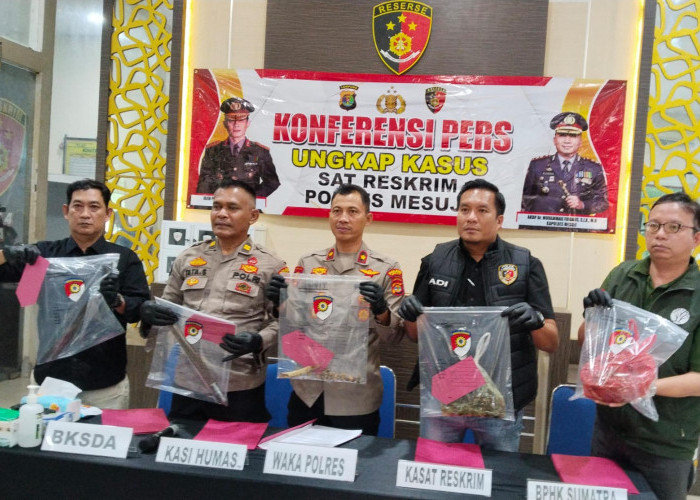Diduga Sembelih Tapir Dilindungi, 4 Warga Mesuji Terancam 15 Tahun Penjara