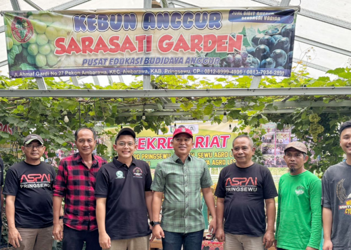 Bupati Lambar Kunjungi Sekretariat ASPAI DPD Pringsewu, Sampaikan Apresiasi dan Ketertarikan Budidaya Anggur